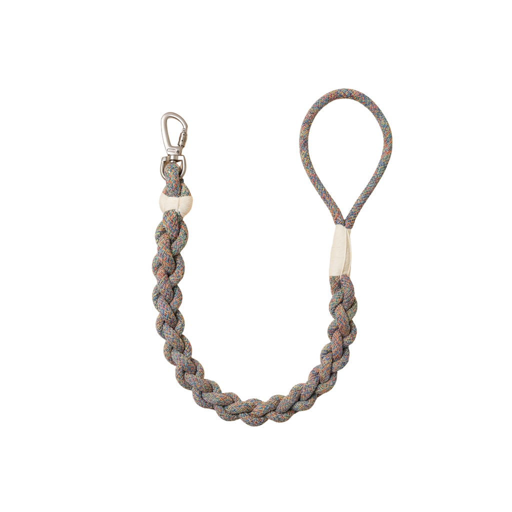 Handcrafted Rainbow Rover Dog Leash | Sustainable