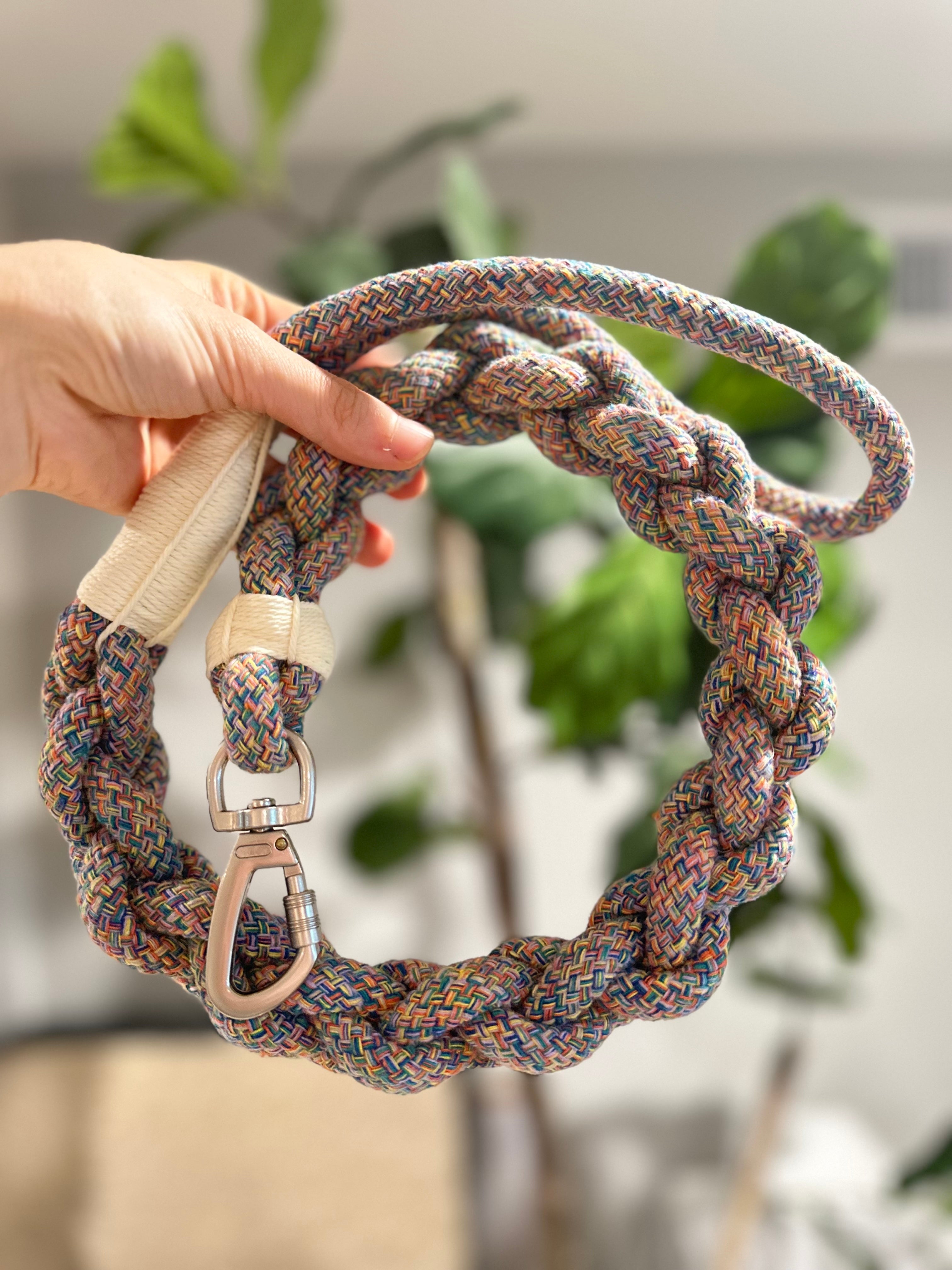 Handcrafted Rainbow Rover Dog Leash | Sustainable