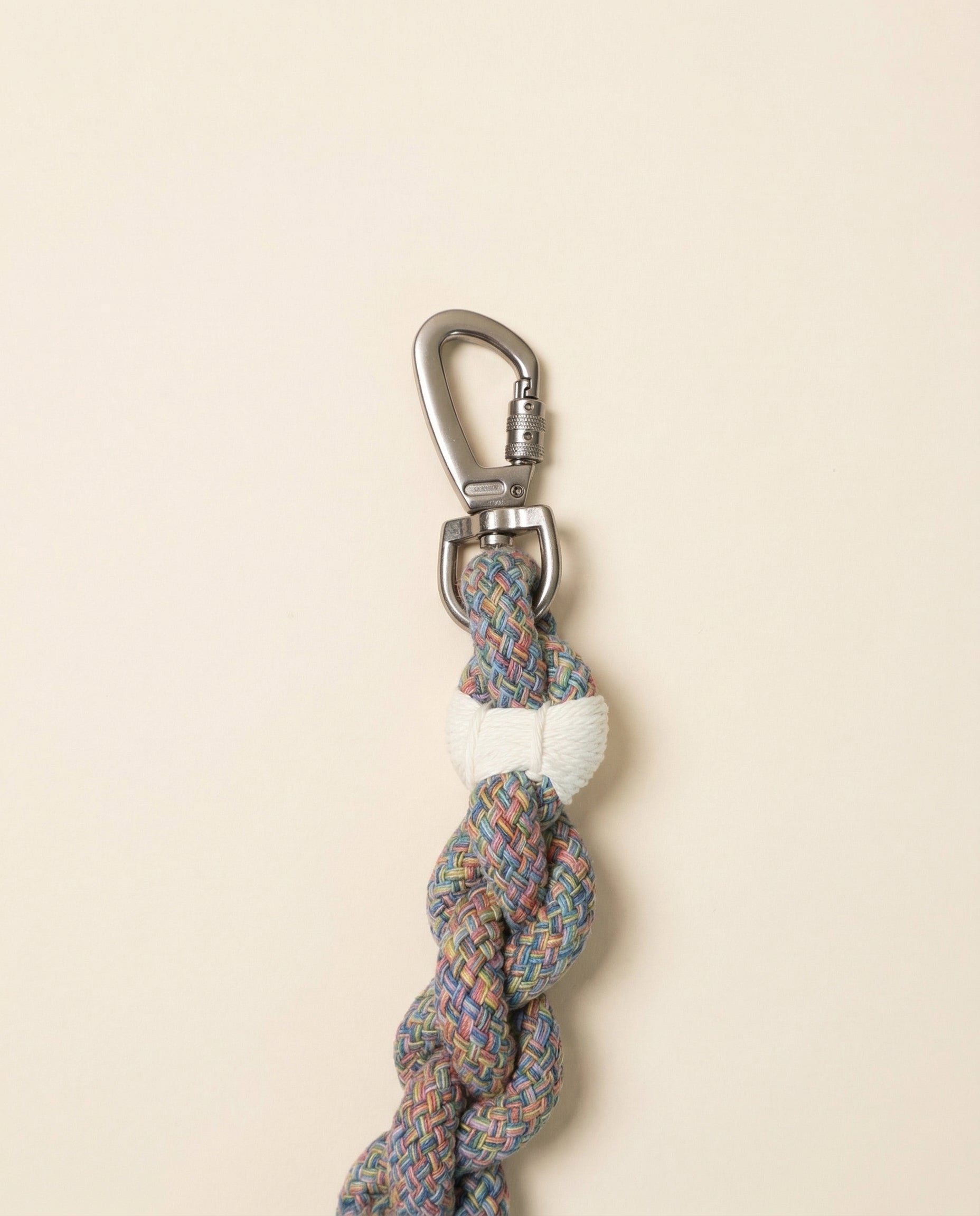 Handcrafted Rainbow Rover Dog Leash | Sustainable