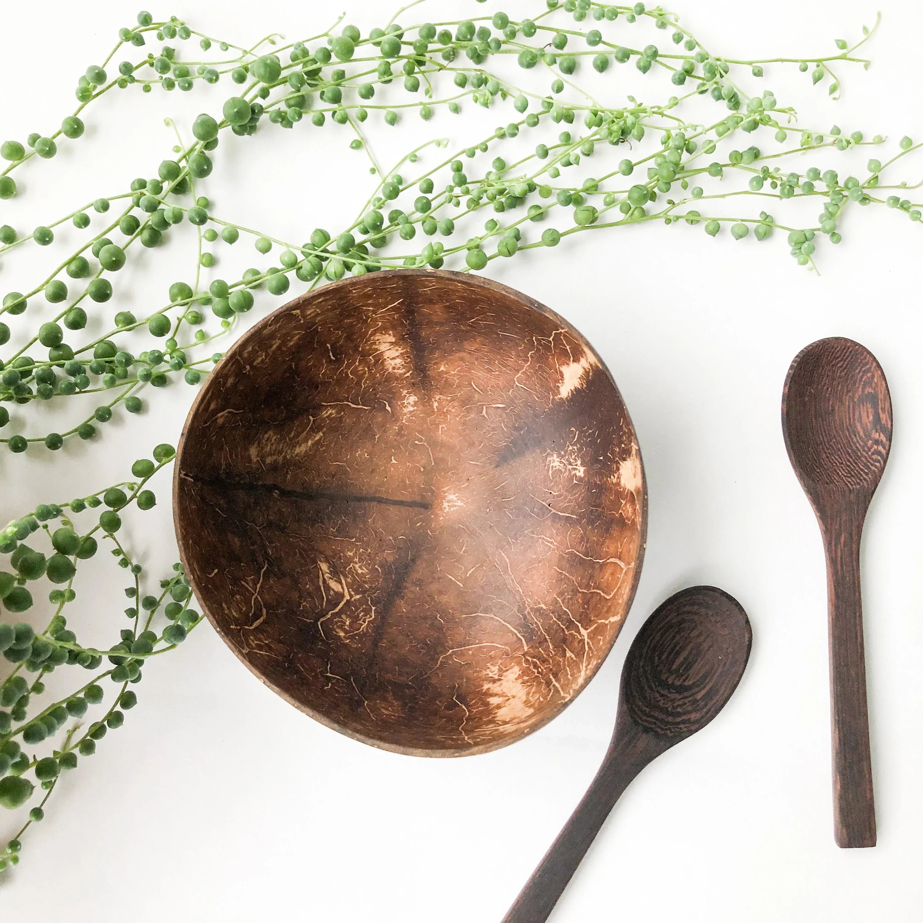 Natural Handmade Reusable Organic Coconut Bowl & Spoon - Sustainable Eco Friendly Plastic Free Breakfast | Lunch | Dinner | Kitchen