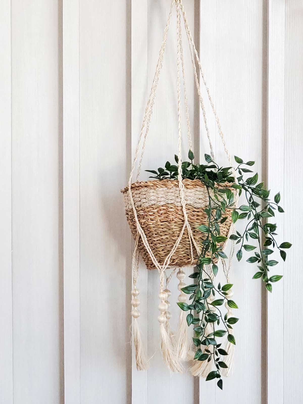 Plant Hanger - Fiora - Second Cycle Supply Co.